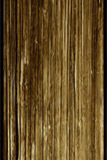 123