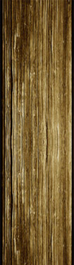 123